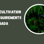 Cannabis cultivation license requirements Canada