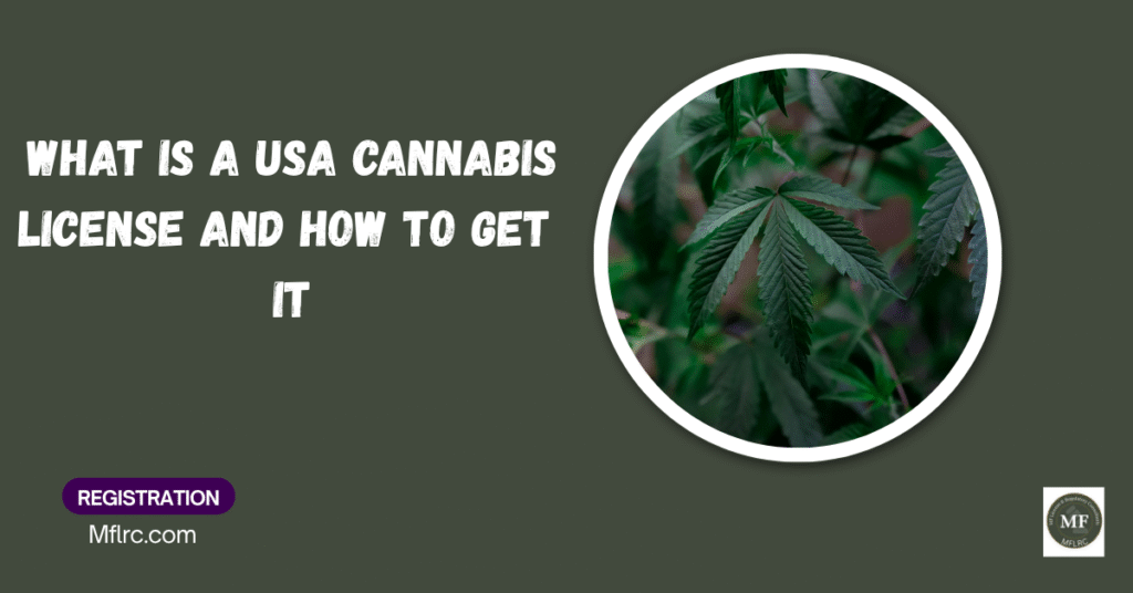 what is a USA cannabis license and how to get it 3 what is a USA cannabis license and how to get it