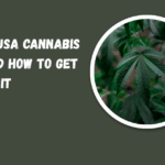 what is a USA cannabis license and how to get it