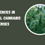 Differences in provincial cannabis licenses