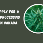 how to apply for a cannabis processing license in Canada