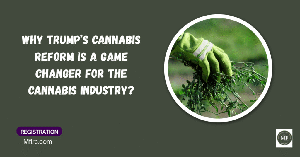 Why Trump’s Cannabis Reform Is a Game Changer for The Cannabis Industry? 19 1