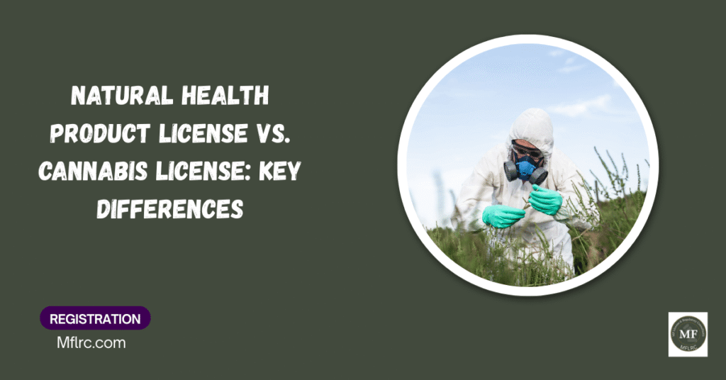 Natural health product license vs. cannabis license: key differences 10 1 6