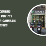 Post-Licensing Support: Why It’s Critical For Cannabis Businesses