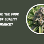 What Are The Four Types Of Quality Assurance?