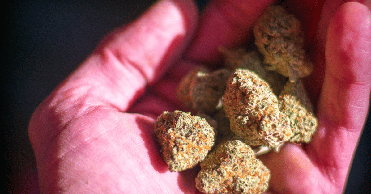 Cannabis Business.